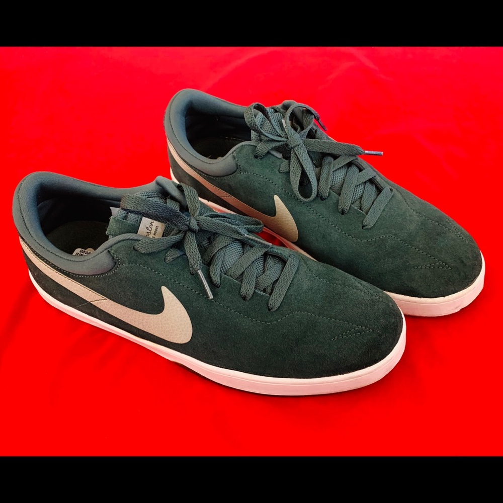 Nike SB shoes